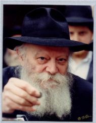 the Rebbe.jpg