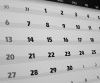 Chabad VI Calendar